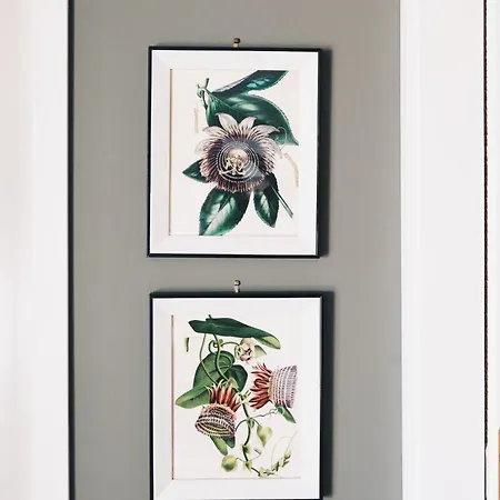 Apartmán Park View *