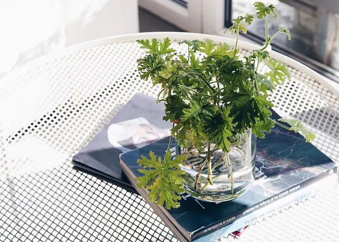 Park View Apartment Tirana