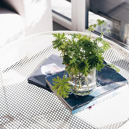 Park View Appartamento Tirana